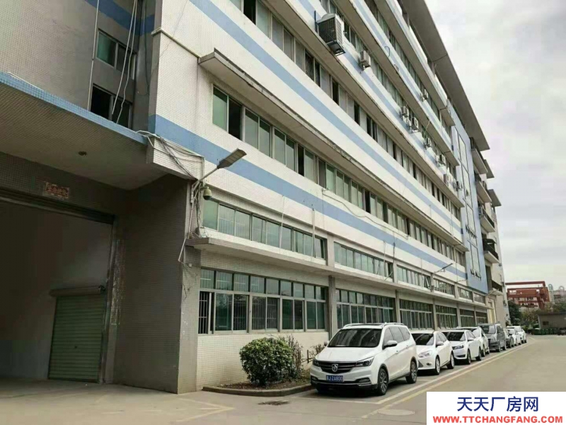 (出租) 深圳羅湖全新 廠房 10000平米大小可分租