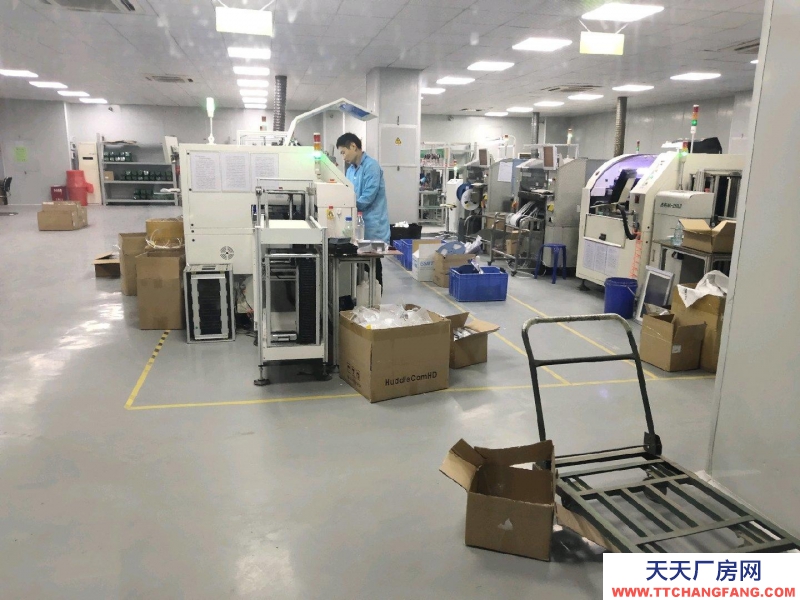 (出租) 深圳羅湖全新 廠房 10000平米大小可分租