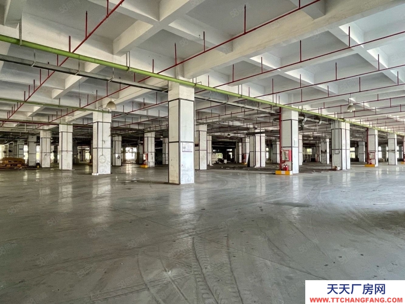 (出租) 深圳鹽田獨(dú)門(mén)獨(dú)院4萬(wàn)平方廠房倉(cāng)庫(kù)出租，空地大，帶貨臺(tái),可分租