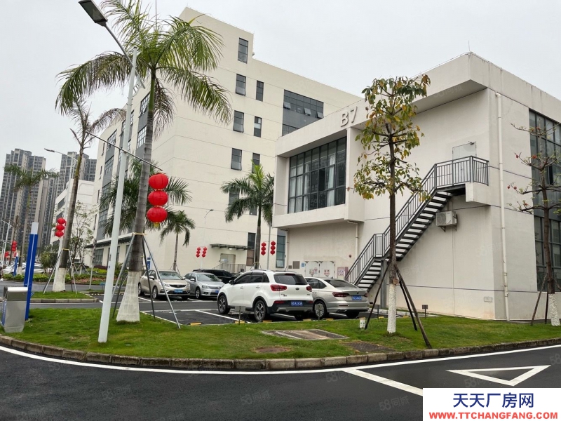 (出租) 深圳鹽田地鐵站高新項(xiàng)目獨(dú)棟12000平精裝修辦公室倉庫廠房出租