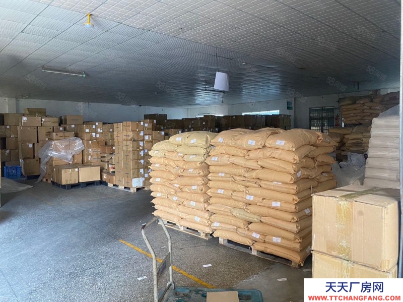 (出租) 深圳鹽田新出原房東小獨門獨院，工業用地空地大好進拖頭適合各行各業