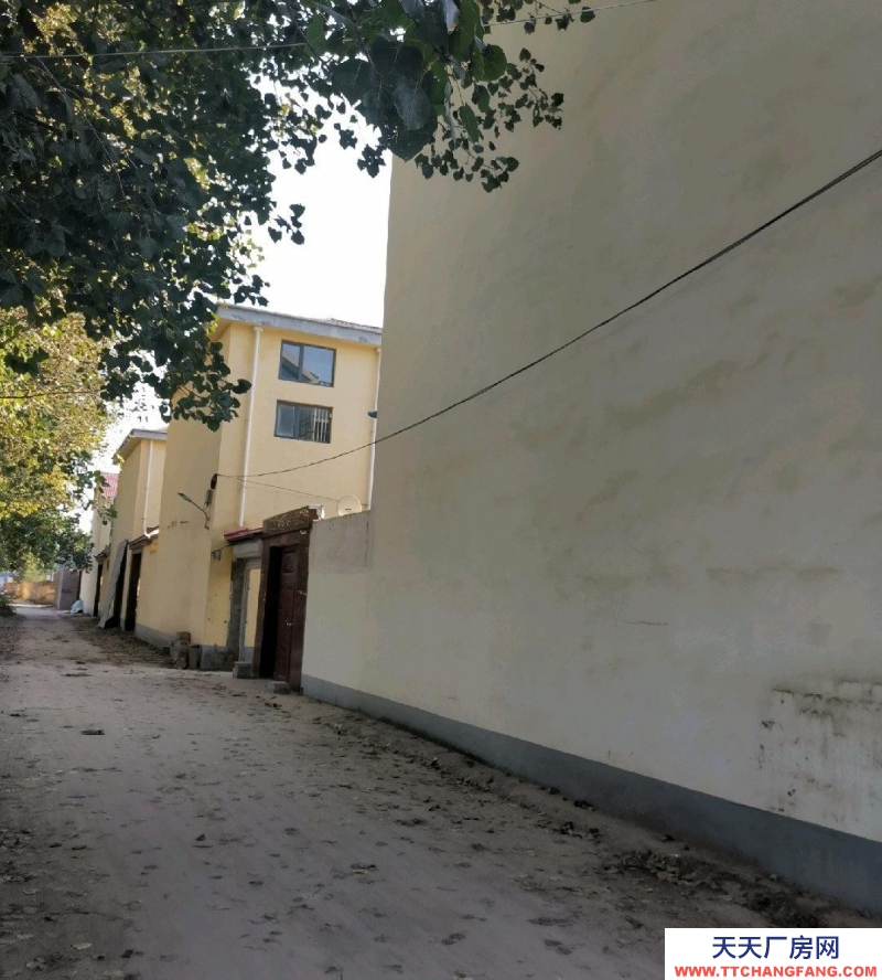 菏澤鄆城可租可售，主體建筑面積456平方，不含院子和配房。