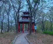 (出售) 樂山鎮(zhèn)西行3公里路好走了