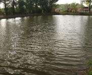 (出售) 多個廠房、平房出租，價格優惠，交通便利