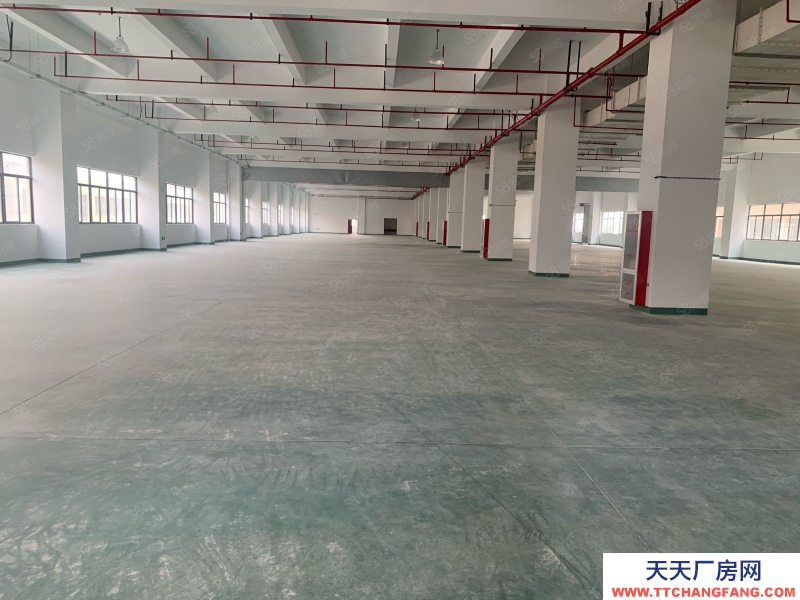 嘉興平湖(出租) 出租平湖鐘逮開發(fā)區(qū)二樓廠房1800有貨梯交通便利