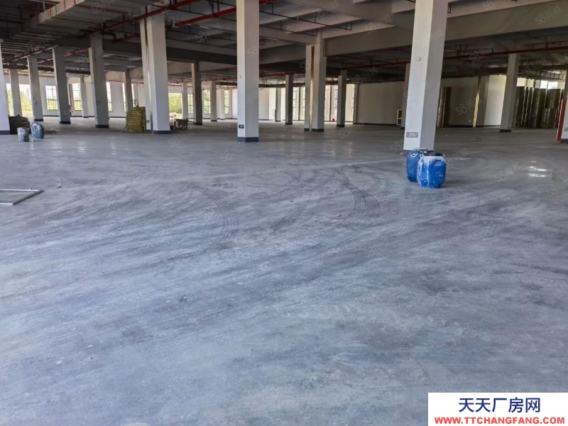 嘉興平湖(出租) 平湖周邊7000平方獨門獨院廠房出租，可分租