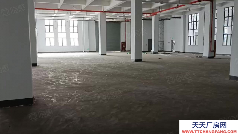 嘉興平湖(出租) ~平湖2000單層廠房，層高8米，帶牛腿，證件齊全，可辦環(huán)評