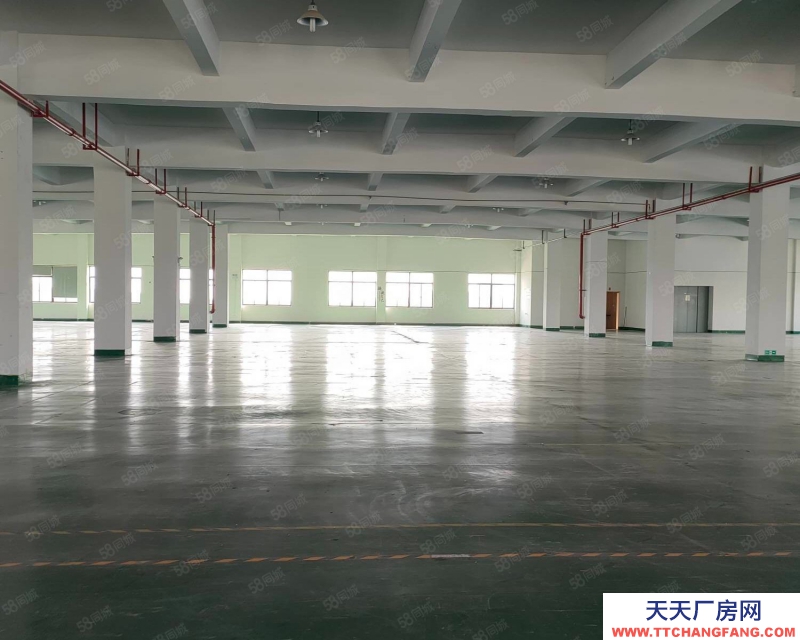 嘉興平湖(出租) 平湖開發(fā)區(qū)12000平方雙層標(biāo)準(zhǔn)廠房，首層高6米，可分租
