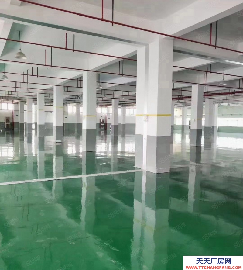 嘉興平湖(出售) 平湖周邊20畝出售，廠房面積17000平方，廠房形象好，