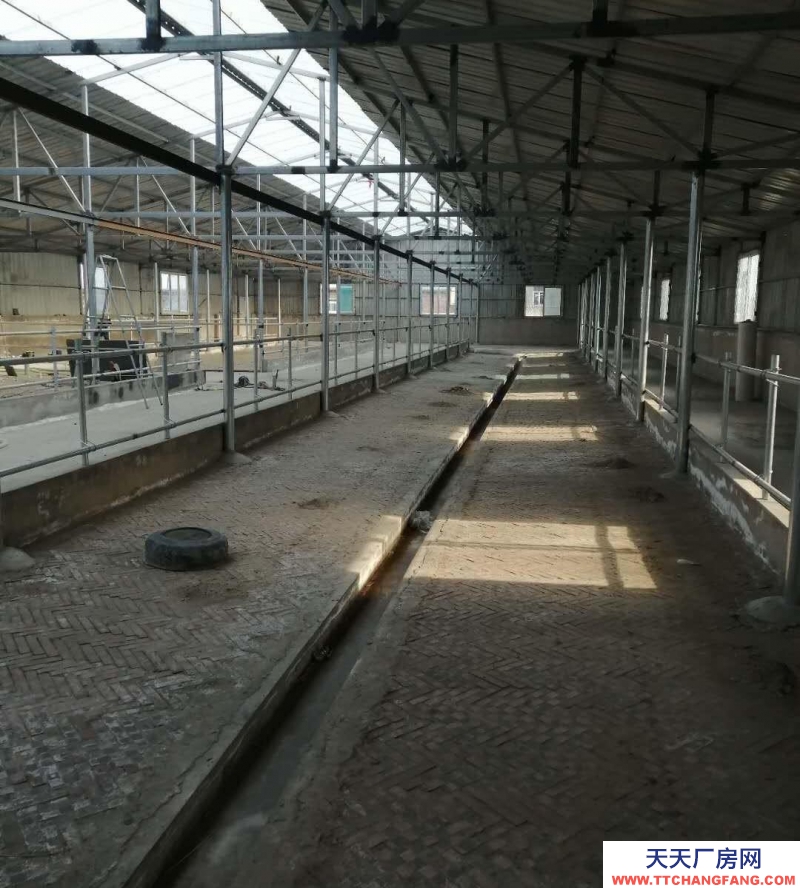 (出租)鞍山臺(tái)安縣 出租出售！適合養(yǎng)牛，能養(yǎng)100多頭牛。