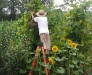 (出售) 可，養殖，置換，環境好，交通方便，