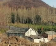 (出售) 可，養殖，置換，環境好，交通方便，