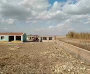 (出售) 出售自家農場，可養殖，白城通榆縣興隆山鎮旅游區附近