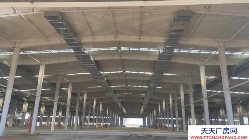 濱州惠民單一層，挑高十一米高標準鋼結構廠房