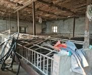 (出租) 豬廠房出租，總面積3000多平，適合養(yǎng)殖。