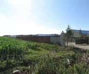 (出售) 農(nóng)安縣養(yǎng)殖場房出租出售