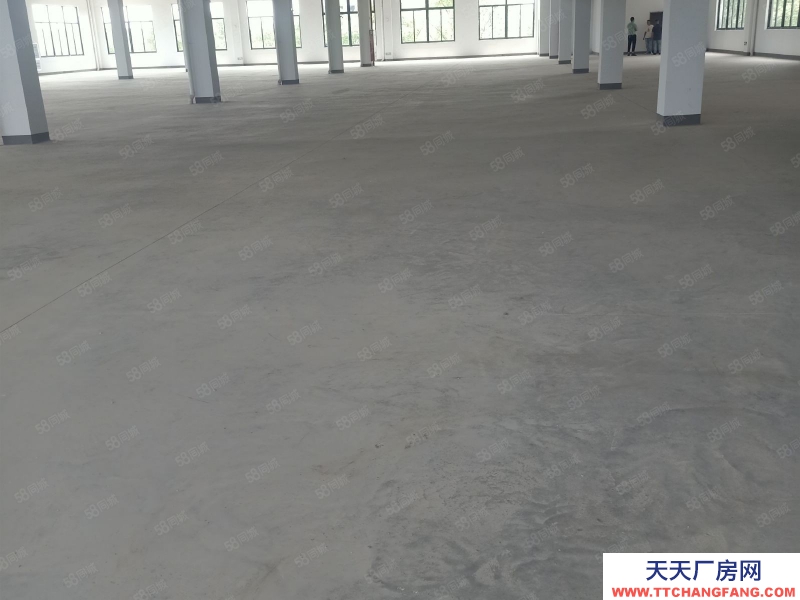 嘉興桐鄉(出租) 河山工業園區，廠房出租9000平方，可以分割，大車好講出