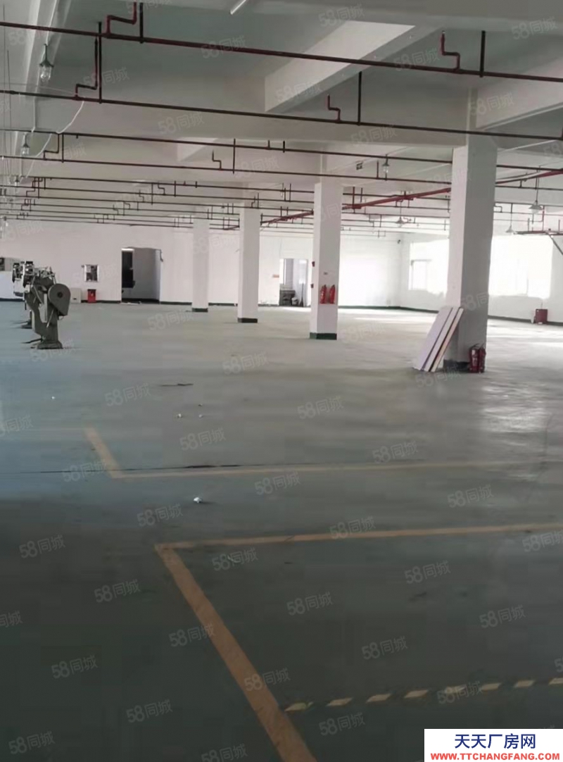 嘉興桐鄉(出租) 金馬轉盤旁甌華獨棟廠房8100平，可分租1350平2700平
