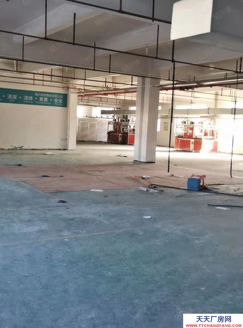 嘉興桐鄉(出租) 金馬轉盤旁甌華獨棟廠房8100平，可分租1350平2700平