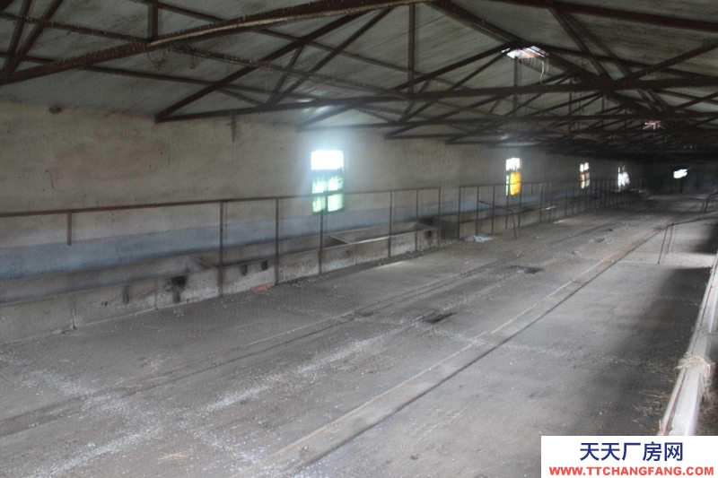 (出售)錦州太和 新北站,新外環(huán)附近誠心出售14畝大型養(yǎng)殖場