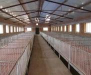 (出租) 農(nóng)安靠山鎮(zhèn)禽畜養(yǎng)殖場出租