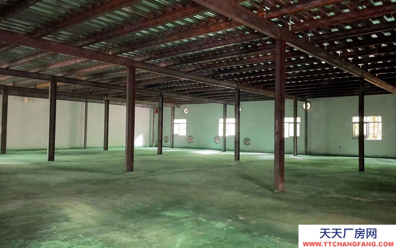 (出租) 深圳西麗沙河西路旁鋼構分租