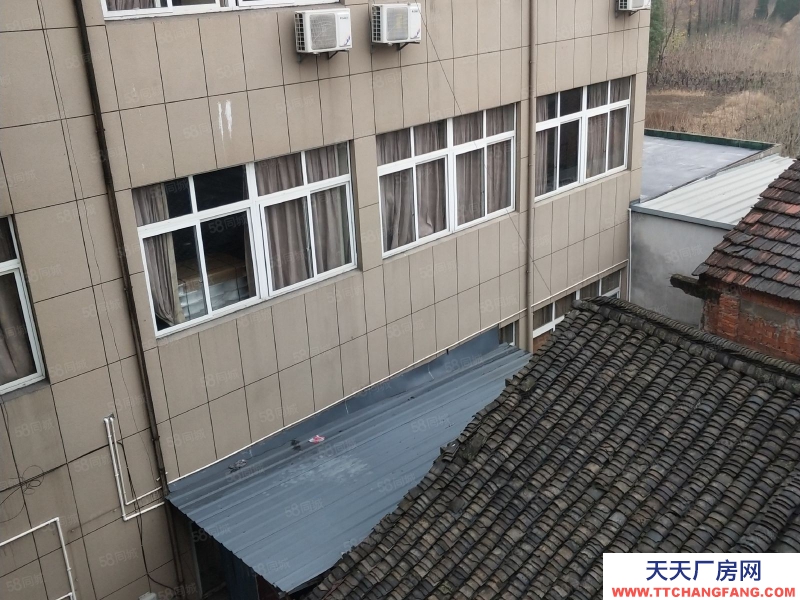 嘉興桐鄉(出售) 獨門獨院廠房，交通方便，院子場地大