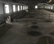 (出租) 大型養(yǎng)殖場(chǎng)出租 手續(xù)齊全