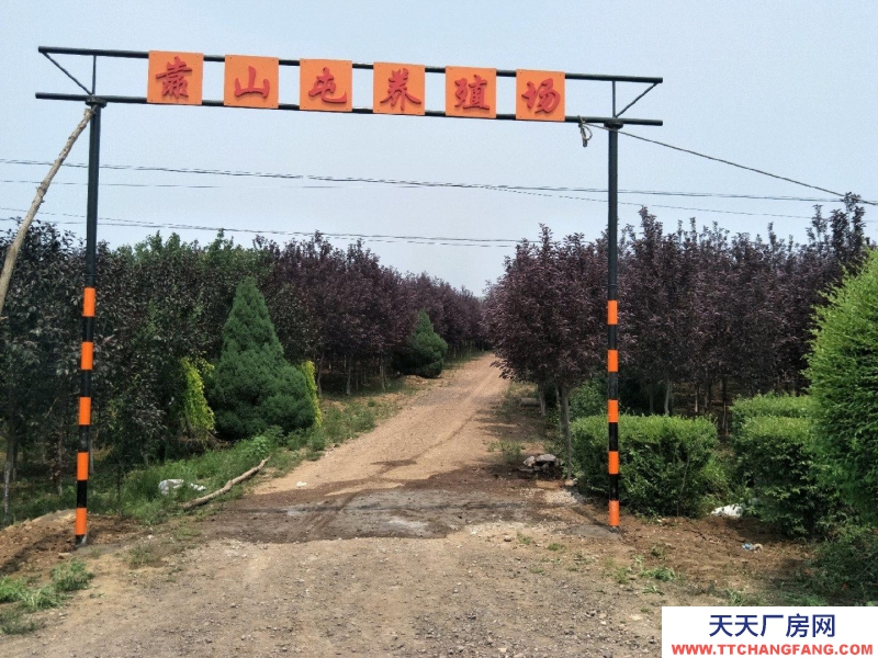 (出售) 錦州義縣留龍溝養(yǎng)殖場26680平米