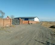 (出售) 惠發街燒鍋村 豬舍場地 5000平米