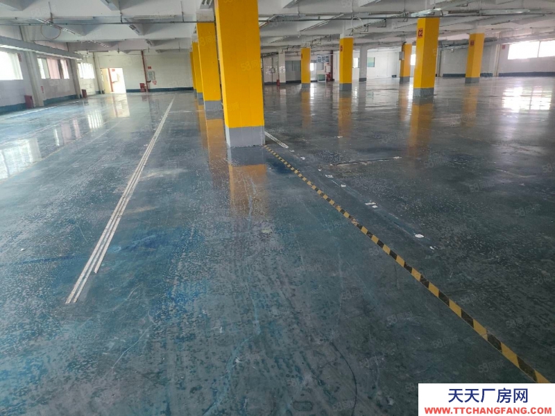 (出租) 珠海南屏550平方~4000平方一樓廠房 機械 設(shè)備 五金