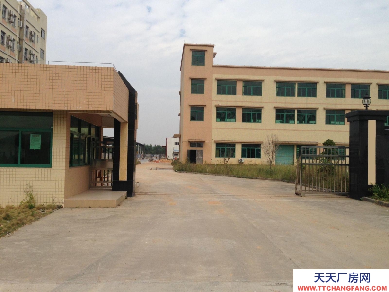(出租) 珠海全新13米高帶隔熱鋼構(gòu)廠房及標(biāo)準(zhǔn)廠房空地出租可分租