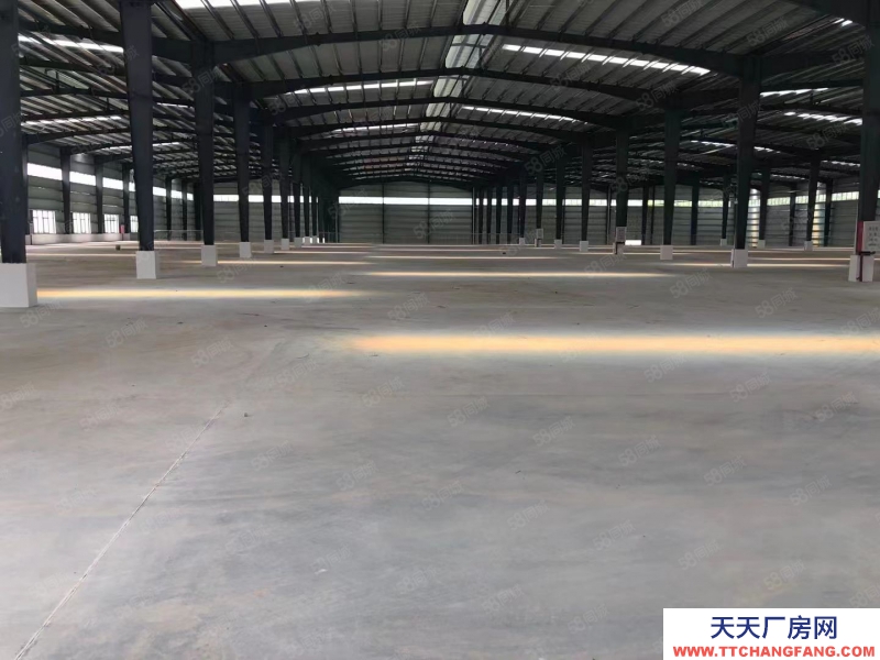 (出租) 珠海金灣5000~9800~35000平單一層鋼廠房，層高10米