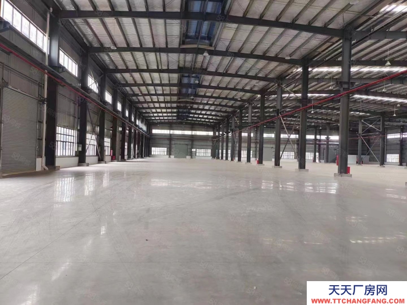 (出租) 珠海紅旗5000~10000平全新單層鋼構(gòu)廠房，高10米，可分租