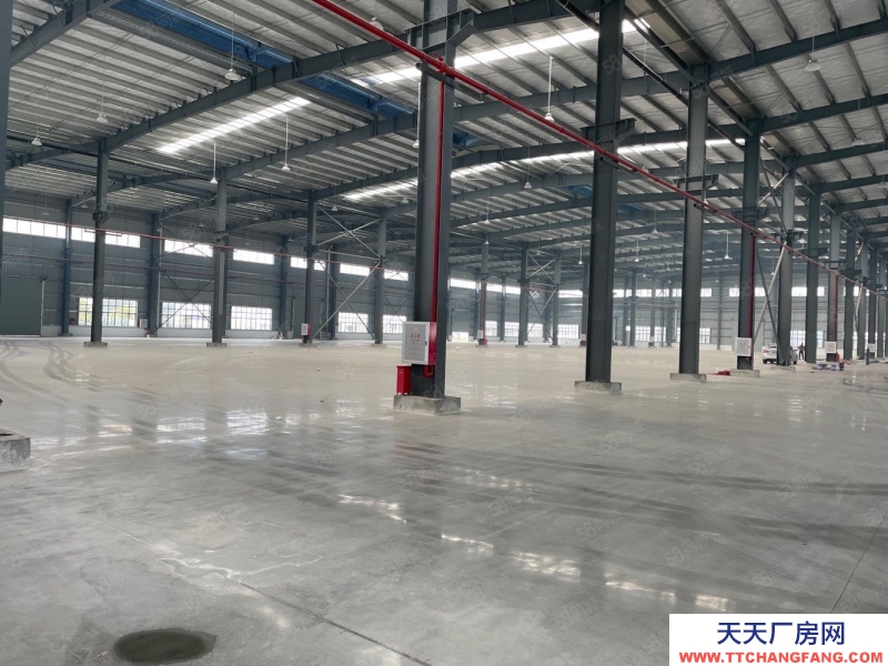 (出租) 珠海紅旗5000~10000平全新單層鋼構廠房,高10米,可分租