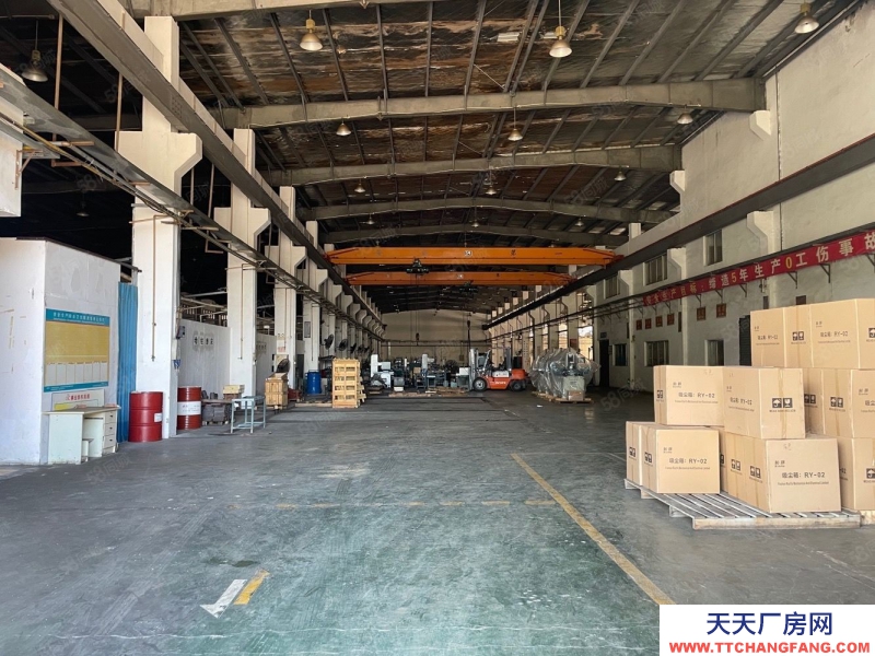(出租) 珠海紅旗2700~6000平單層鋼構廠房，帶10噸行車，可分租