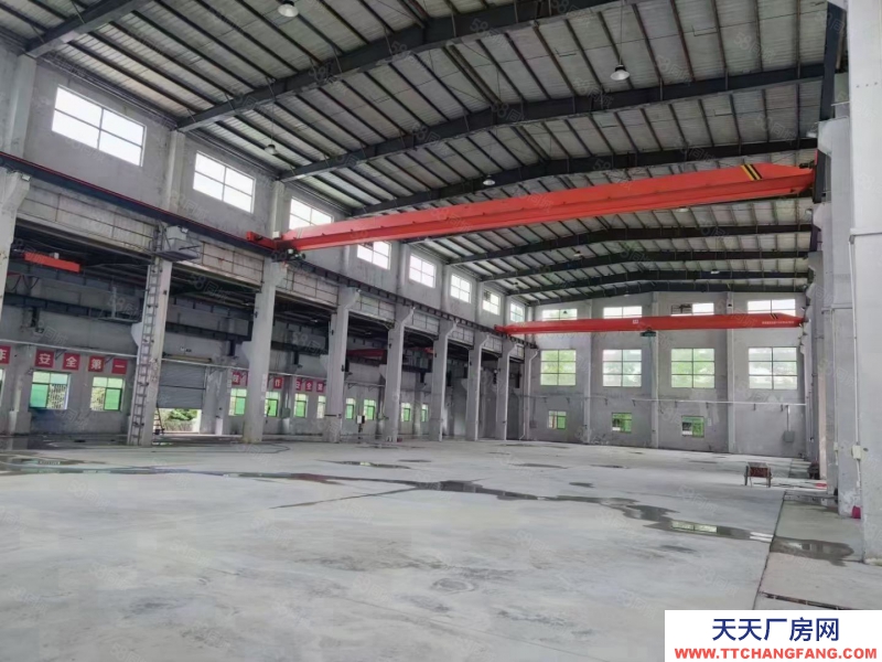 (出租) 珠海金灣獨院5萬平新廠房，全新鋼構4萬平，空地超大，大小可分租