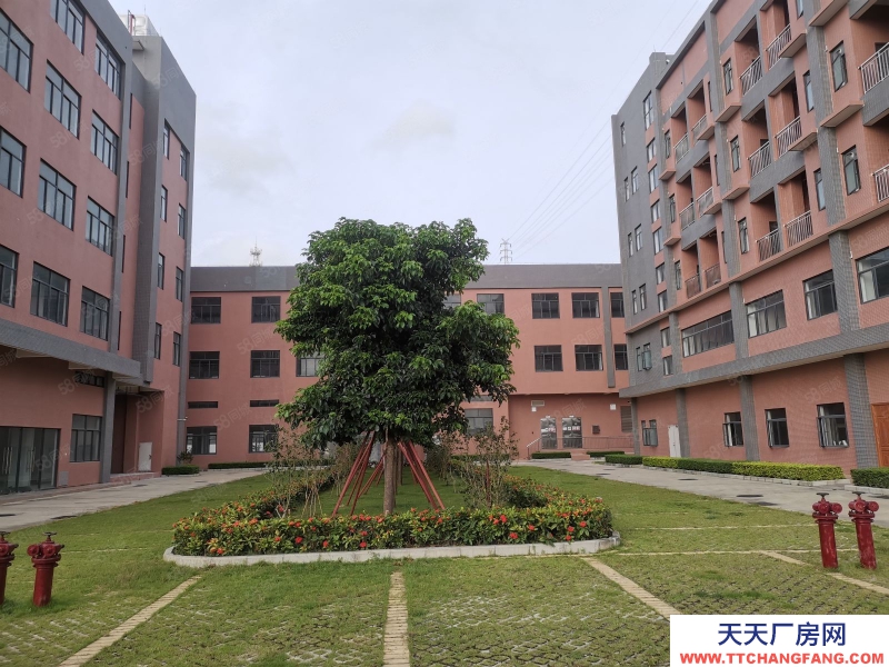 (出租) 珠海金灣紅旗開源祥廠房12900平方，花園式廠房