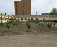 (出售) 急售龍潭鐵東，龍東小區旁廠房