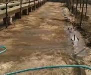 (出售) 多種經營養殖場和水庫出售，適合養殖，環境好無污染，價格面議