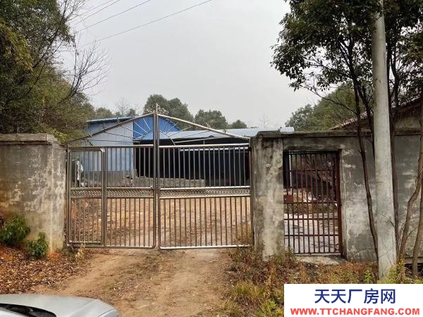 岳陽市岳陽區(qū) 107國道旁，往新開方向五百米！