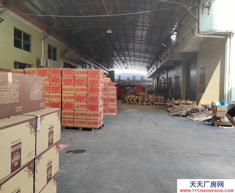 (出租) 珠津工業區鋼結構3000平另帶兩棟泥土構每層1100平可分租