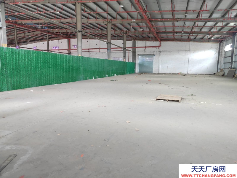 (出租) 汕頭泰山路中段1000平方2000平方鋼結構有闊埕拖頭直達