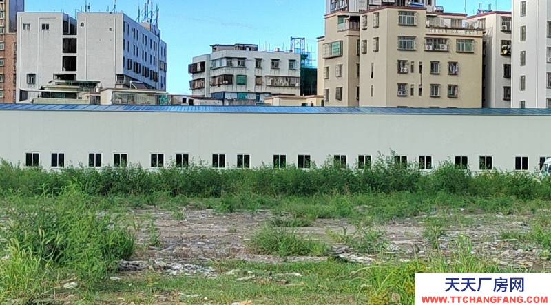 (出租) 汕頭東海岸附近鋼結構20000方可分割1000方起租大路邊拖頭直