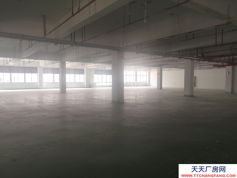 湖州童裝生產廠房出租，整層1374平方，3部電梯可用，園區直租不收中介費