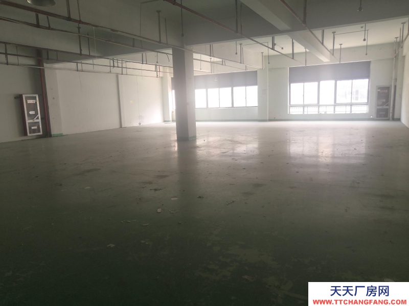 湖州童裝生產廠房出租，整層1374平方，3部電梯可用，園區直租不收中介費