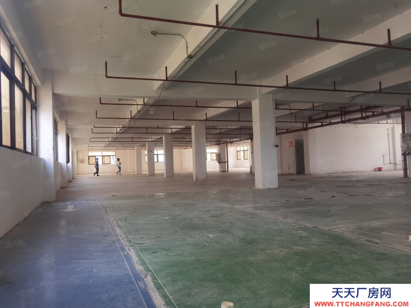 (出租) 汕頭大學路升平工業(yè)區(qū)獨立門戶帶寬埕 正規(guī)廠房二三樓1700平