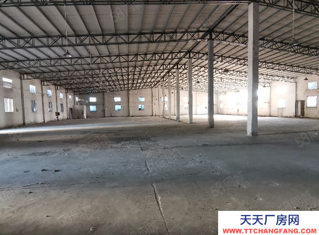 (出租) 汕頭大學路鮀浦段靠近月浦溝南純1樓占地900平鋼結(jié)構廠房滴水8米