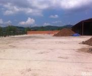 (出售) 出租，出售均可。在前二道鄉山前村。