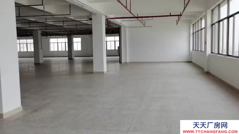 (出租) 汕頭和平鎮廠房一層過3000平方